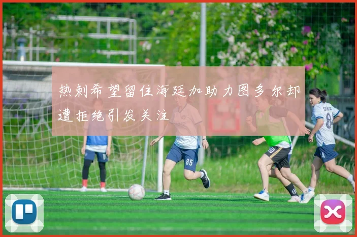 热刺希望留住海廷加助力图多尔却遭拒绝引发关注