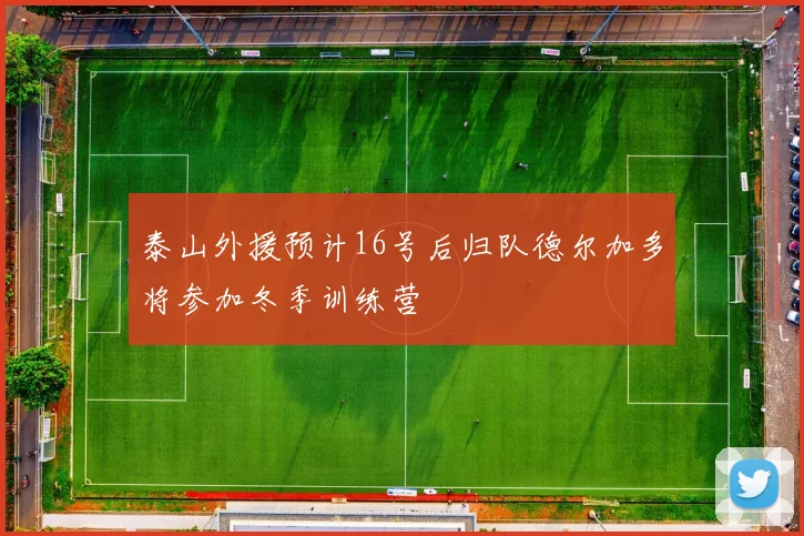 泰山外援预计16号后归队德尔加多将参加冬季训练营