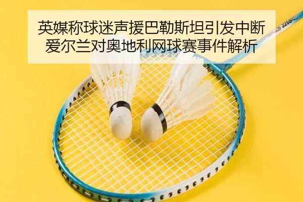 英媒称球迷声援巴勒斯坦引发中断 爱尔兰对奥地利网球赛事件解析 - bogou